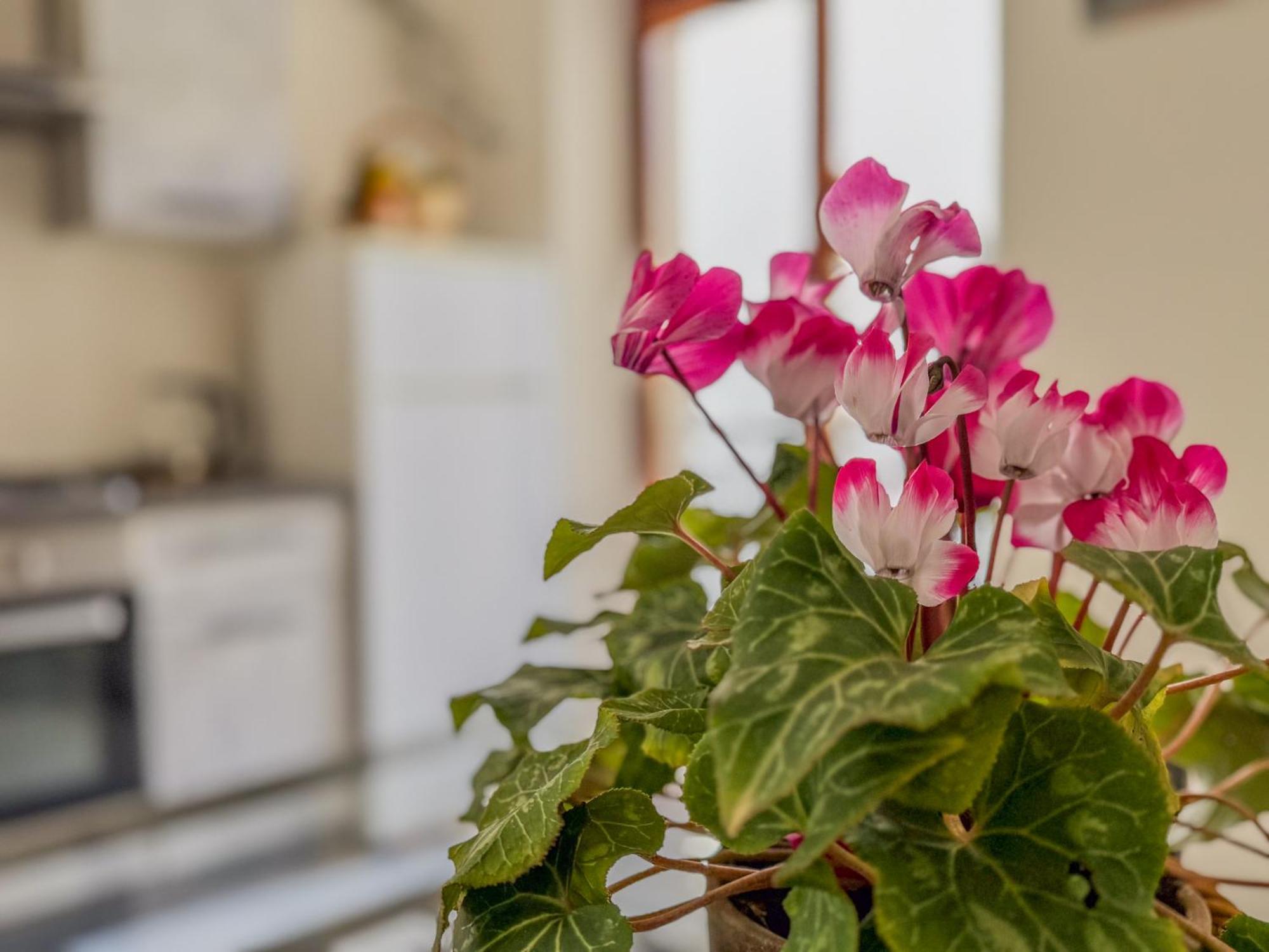 Il Cantuccio Lecce Ngoại thất bức ảnh
